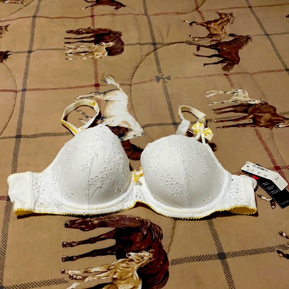 I am selling a bra in size 40B. - Picture 1 of 4